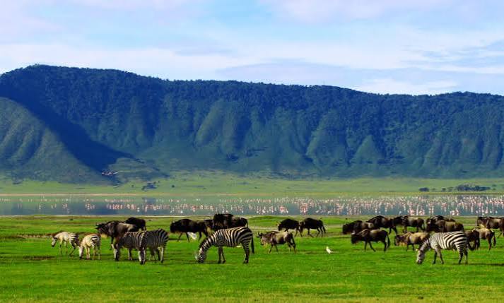 Ngorongoro Conservation Area