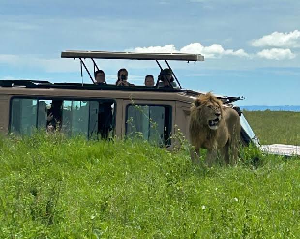 Serengeti